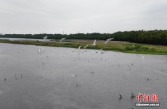 广东打造大湾区“候鸟天堂”